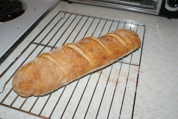 Artisan Bread In Five Minutes A Day Book Review from Muse of the Morning